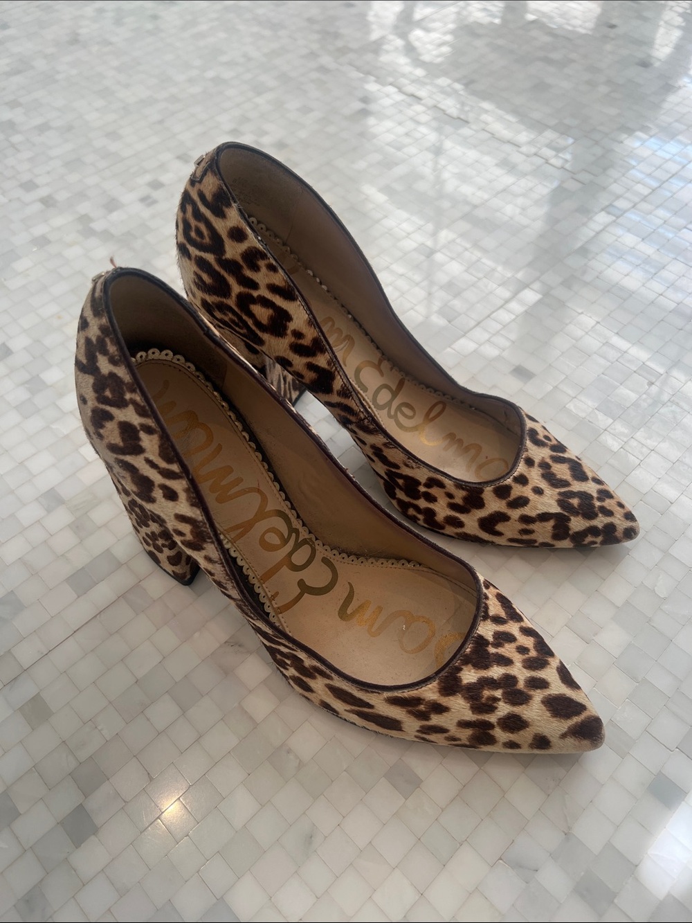 Sam Edelman Leopard-Print Pointed Toe Block Heel Pumps - Tan & Brown